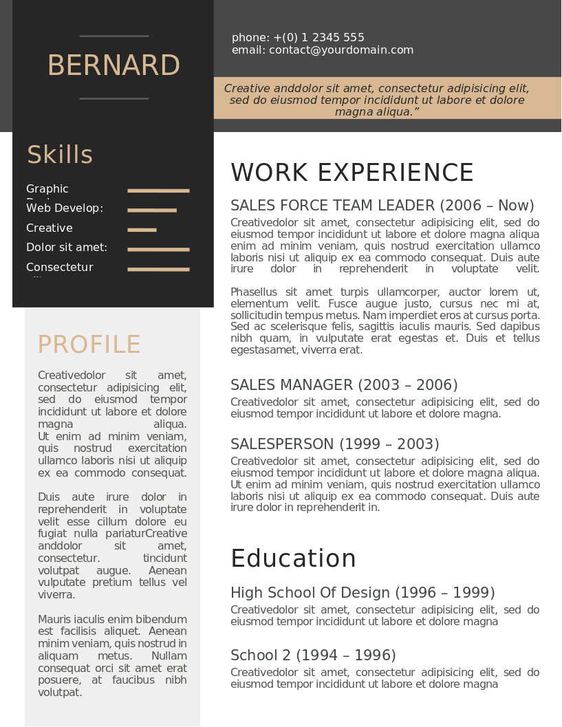 Simplexing CV v2 preview